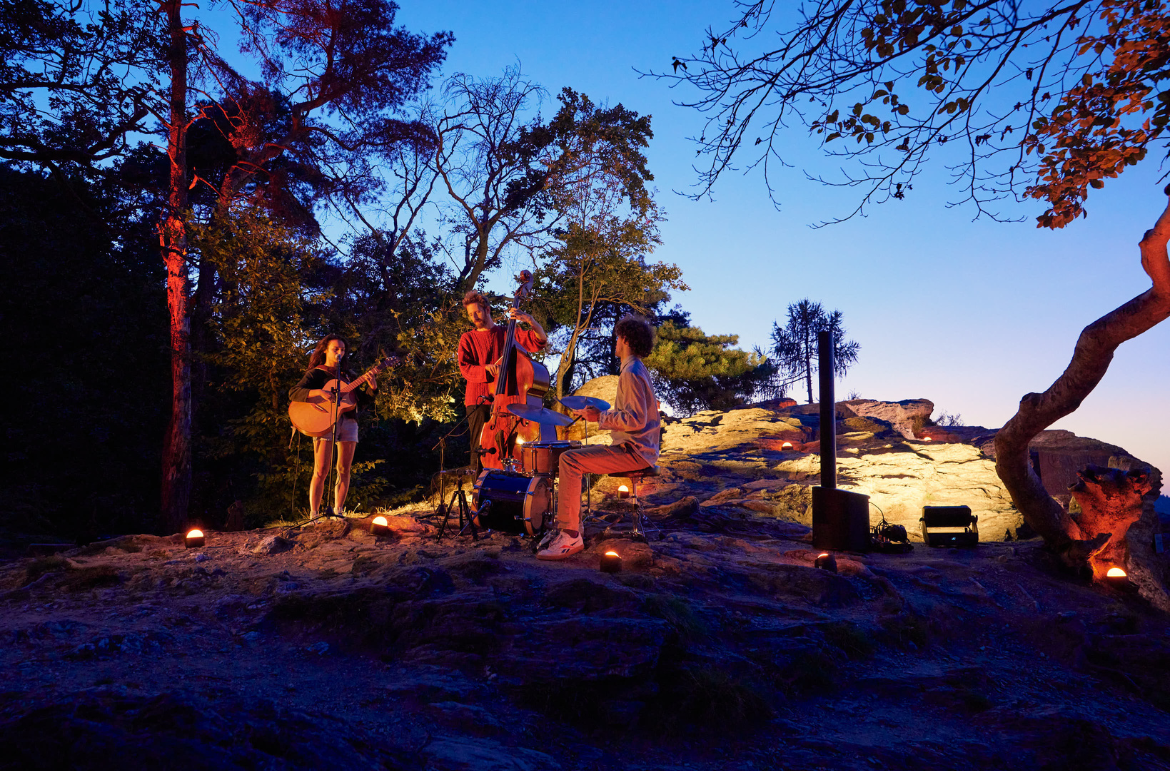 Die Natur leuchtet – Humblo spielen Waldkonzerte mit Cameo Akku-Lichttechnik