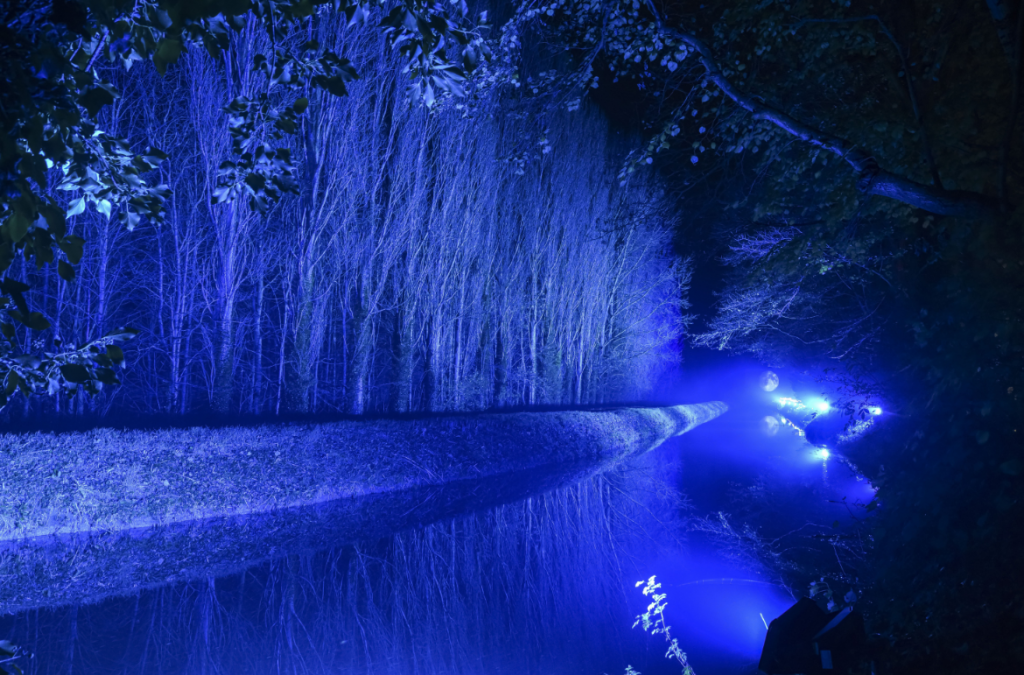 Winter Lights: Pearce Hire Presents Cameo Gardens at Anglesey Abbey in Lode Near Cambridge