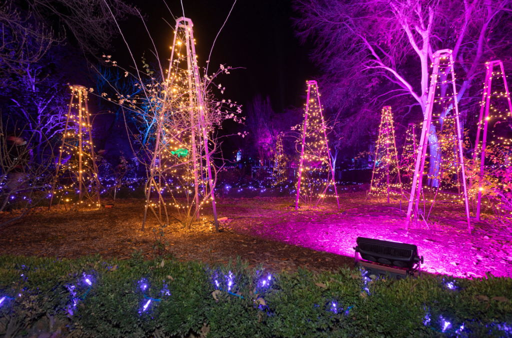 Enchanting Winter Lightscape at Naturaleza Encendida: Cameo Lights up Beguiling Botanical Garden in Madrid