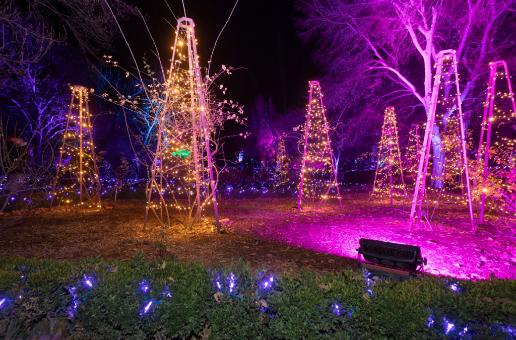 Sueño invernal de luces «Naturaleza Encendida»: Cameo encandila a los visitantes del Jardín Botánico en Madrid